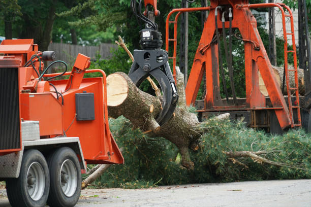 Best Arborist Consultation Services  in Flemington, GA